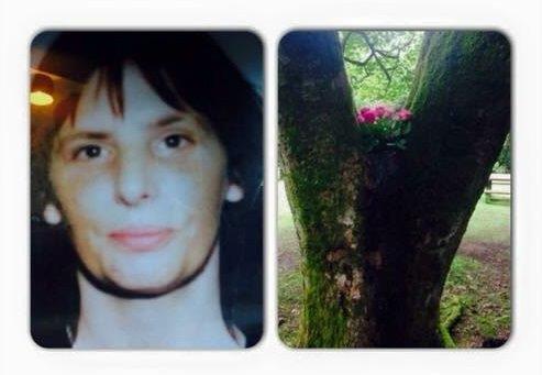 Murder of Jacqueline Oakes: Inquest to be resumed
